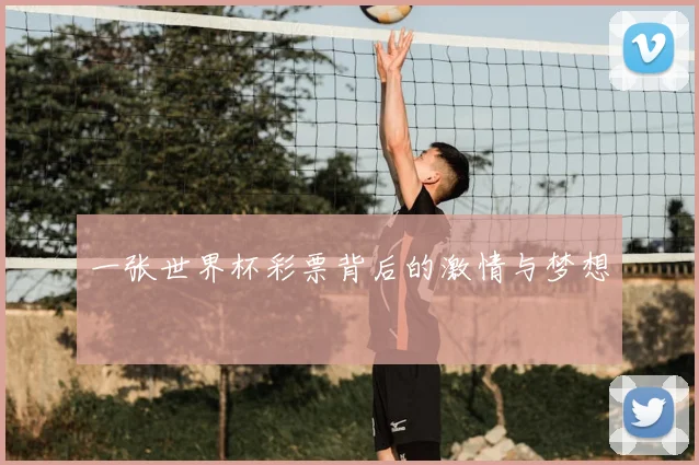 一张世界杯彩票背后的激情与梦想