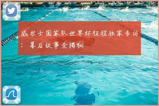 威尔士国家队世界杯征程独家专访：幕后故事全揭秘