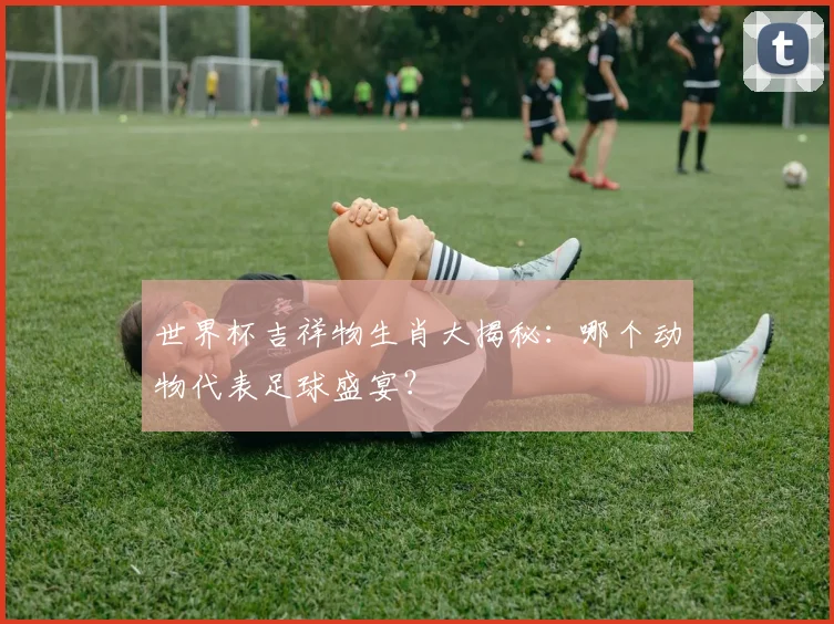 世界杯吉祥物生肖大揭秘:哪个动物代表足球盛宴?