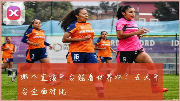 哪个直播平台能看世界杯？五大平台全面对比